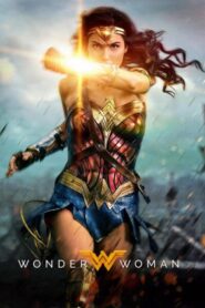 Wonder Woman (2017) Dual Audio English + Hindi ORG Download DC Super Hero Flash Super-men Batman