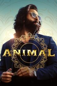 Animal 2023 एनिमल 2023 HD NETFLIX WEB-DL Download