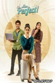 Miss Perfect Season 1 (2024) Hindi web series Download Complete