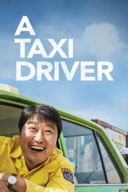 A Taxi Driver 2017 Hindi China